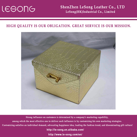 LS1341 Leather Storage Case