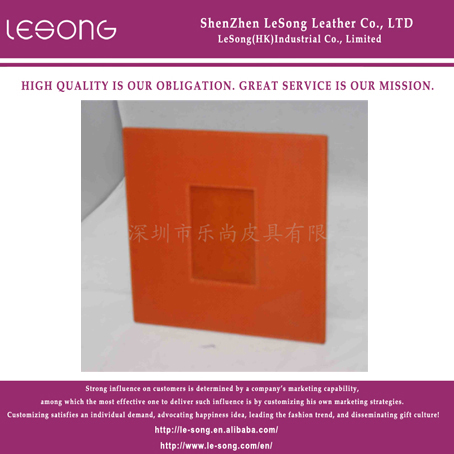 LS1216 Photo Frame